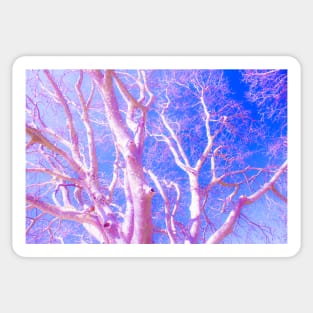 pink trees meio dia Sticker